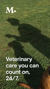 Modern Animal screenshot 0