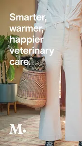 Modern Animal screenshot 7