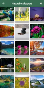 Natural Images screenshot 1