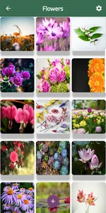 Natural Images screenshot 2