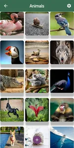 Natural Images screenshot 4