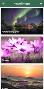 Natural Images screenshot 6