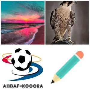 4 FOTOS 1 MOT screenshot 2