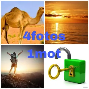 4 FOTOS 1 MOT screenshot 3