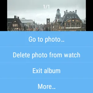 Anytime Gallery for Wear screenshot 11