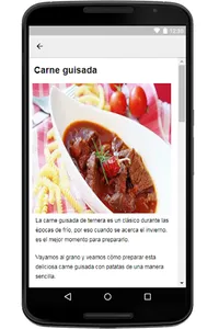 Recetas de Carnes screenshot 12