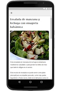 Recetas de Ensaladas screenshot 15