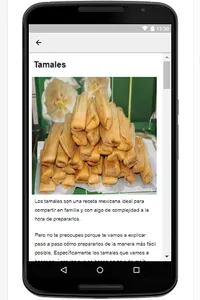 Recetas Mexicanas screenshot 14