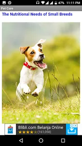 Pet Care Guide Book screenshot 0