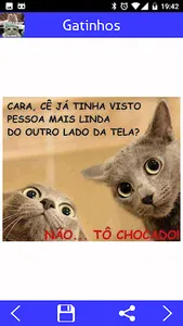 Imagens de gatinhos engraçados screenshot 2