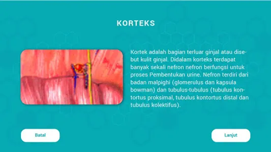 Si Pakar: Proses Pembentukan U screenshot 2