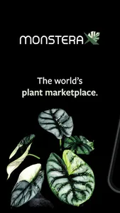 MonsteraX screenshot 0
