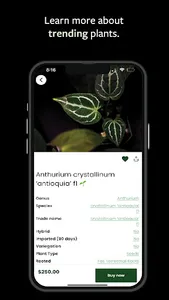MonsteraX screenshot 3