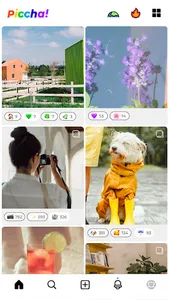 Piccha screenshot 4