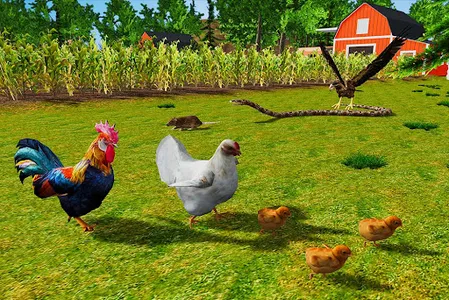 Rooster Simulator - Chick Life screenshot 2