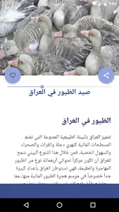 أسرار و مهارات الصيد بدون نت screenshot 2