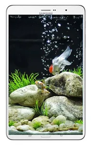 Goldfish Live Wallpaper screenshot 5