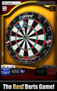 Darts Match screenshot 5