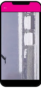 Channel 5 screenshot 0