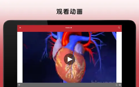 默沙东诊疗手册（大众版） screenshot 12