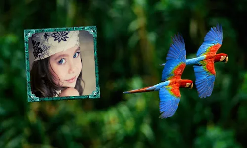 Parrot Photo Frames HD screenshot 3