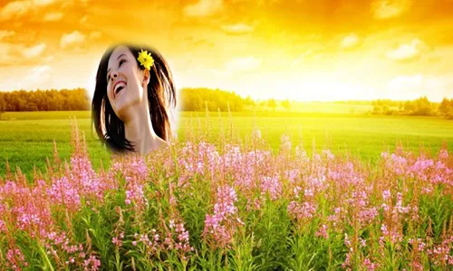Summer Photo Frames HD screenshot 0