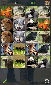 Jigsaw and memory with animals screenshot 4