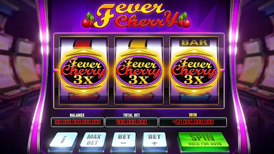 Double Fever Slots Casino Game screenshot 0