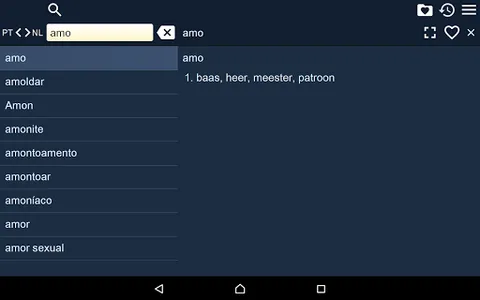 Portugese Dutch Dictionary screenshot 6