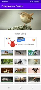 Funny Animal Sounds screenshot 5