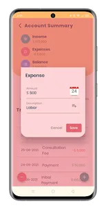 Project and Accounting App screenshot 22
