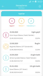 K-Analizör - Personal budget a screenshot 1