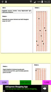 LYS Açık Uçlu Soru Örnekleri screenshot 5