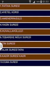 Sureler ve Ayetler Dinle İnter screenshot 1