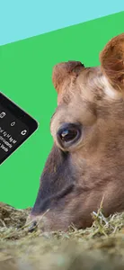 MUU Nutrition - cattle feed screenshot 3