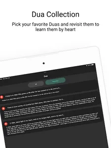 Pro Muslim: Quran & Sunnah screenshot 12