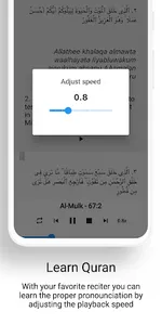 Pro Muslim: Quran & Sunnah screenshot 3