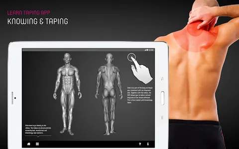 Learn Taping App screenshot 10