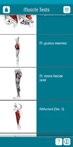 Muscle Tests 3 App screenshot 1