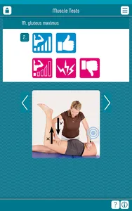 Muscle Tests 3 App screenshot 10