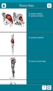 Muscle Tests 3 App screenshot 5