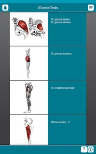 Muscle Tests 3 App screenshot 9