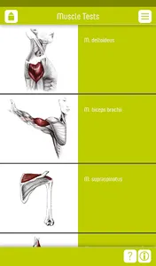 Muscle Tests 2 screenshot 1