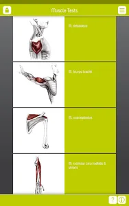 Muscle Tests 2 screenshot 9