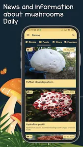 The Mushroom screenshot 2