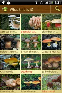Mushroom - Mushtool screenshot 0