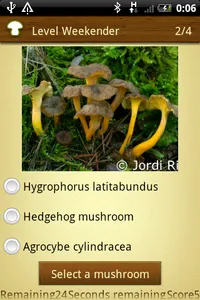 Mushroom - Mushtool screenshot 4
