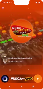 Music Andino Peru Online screenshot 2