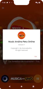 Music Andino Peru Online screenshot 4