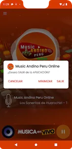 Music Andino Peru Online screenshot 5